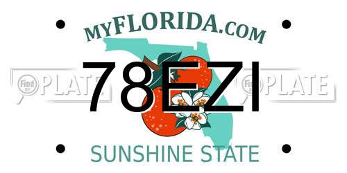 78EZI Florida License Plate