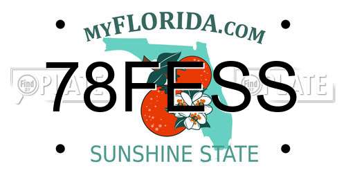 78FESS Florida License Plate