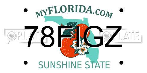 78FIGZ Florida License Plate