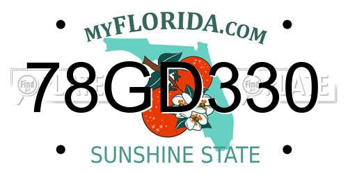 78GD330 Florida License Plate