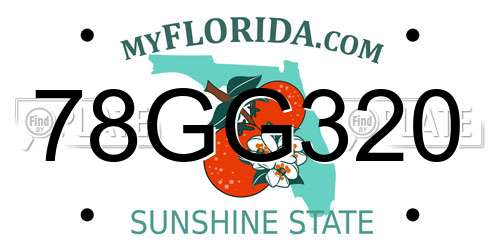 78GG320 Florida License Plate