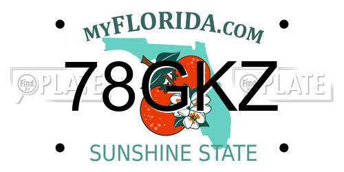 78GKZ Florida License Plate
