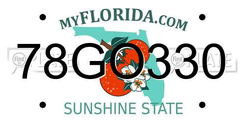 78GO330 Florida License Plate