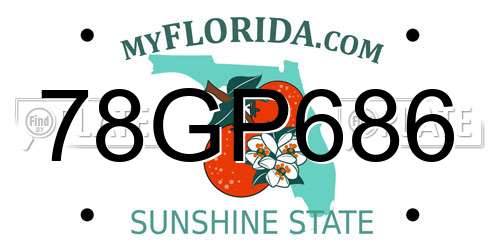 78GP686 Florida License Plate