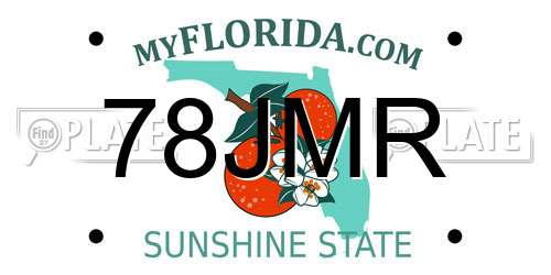78JMR Florida License Plate