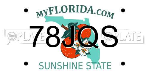 78JQS Florida License Plate
