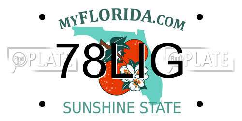 78LIG Florida License Plate