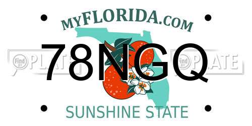 78NGQ Florida License Plate