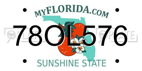 78OL576 Florida License Plate