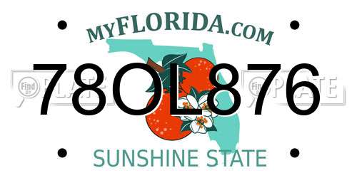 78OL876 Florida License Plate