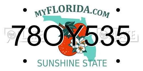 78OY535 Florida License Plate