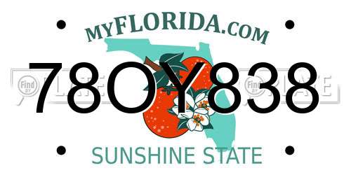 78OY838 Florida License Plate
