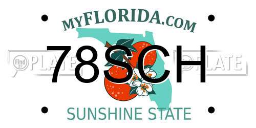 78SCH Florida License Plate