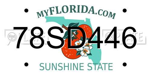 78SD446 Florida License Plate