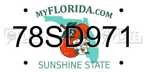 78SD971 Florida License Plate