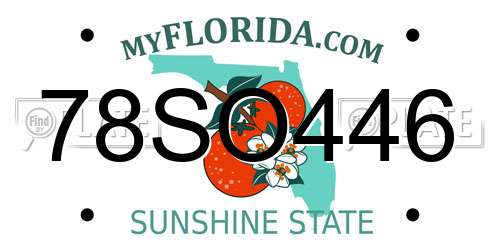 78SO446 Florida License Plate