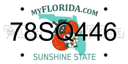 78SQ446 Florida License Plate