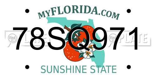 78SQ971 Florida License Plate