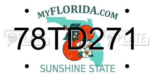 78TD271 Florida License Plate