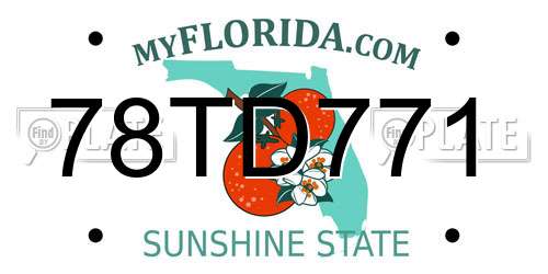 78TD771 Florida License Plate