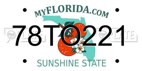 78TO221 Florida License Plate