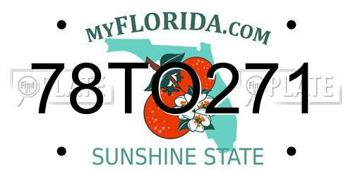 78TO271 Florida License Plate