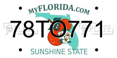 78TO771 Florida License Plate