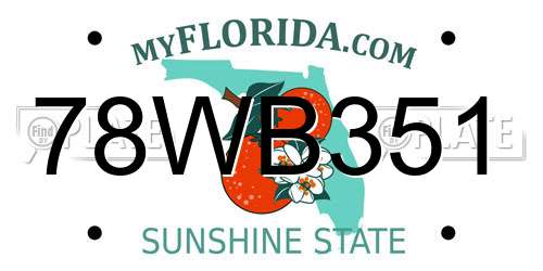 78WB351 Florida License Plate