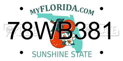 78WB381 Florida License Plate