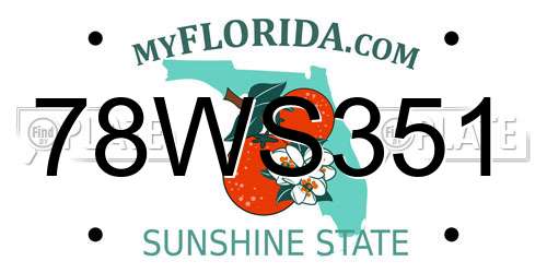 78WS351 Florida License Plate