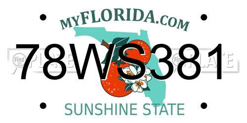 78WS381 Florida License Plate