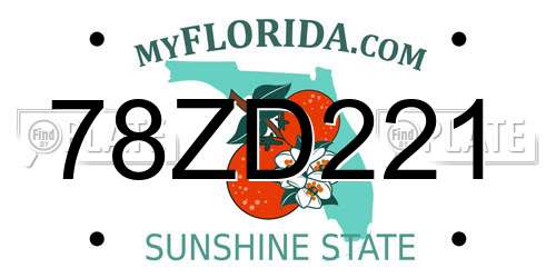 78ZD221 Florida License Plate