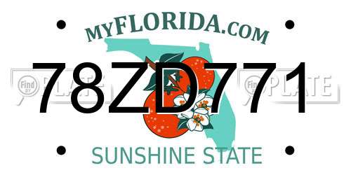 78ZD771 Florida License Plate