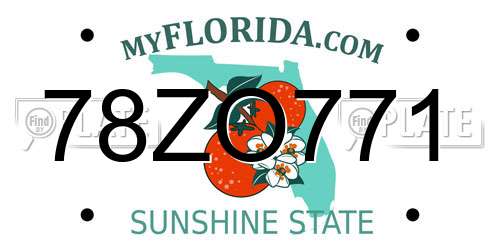 78ZO771 Florida License Plate