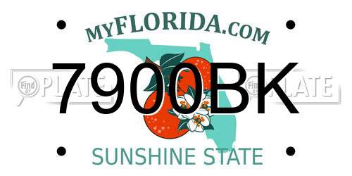 7900BK Florida License Plate
