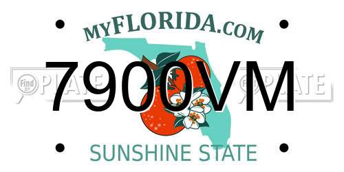 7900VM Florida License Plate