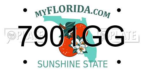 7901GG Florida License Plate