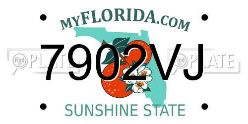 7902VJ Florida License Plate