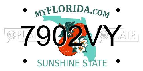 7902VY Florida License Plate