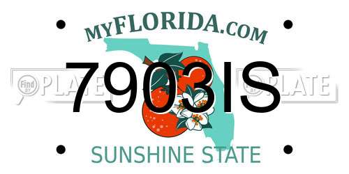7903IS Florida License Plate