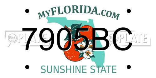 7905BC Florida License Plate