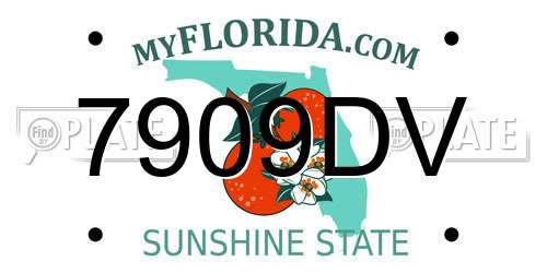 7909DV Florida License Plate
