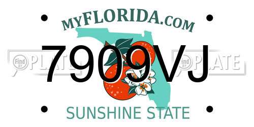 7909VJ Florida License Plate