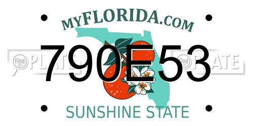 790E53 Florida License Plate