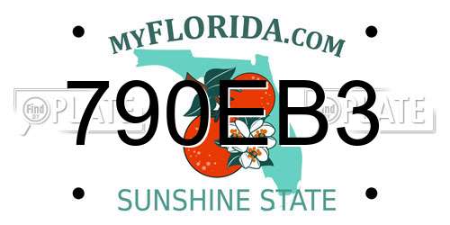 790EB3 Florida License Plate