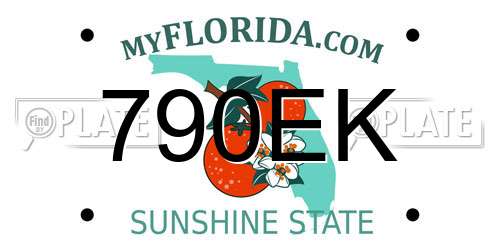 790EK Florida License Plate