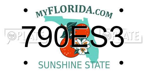 790ES3 Florida License Plate
