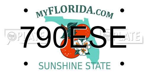 790ESE Florida License Plate
