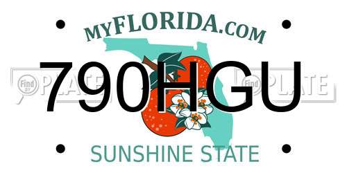 790HGU Florida License Plate