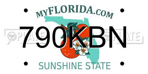 790KBN Florida License Plate